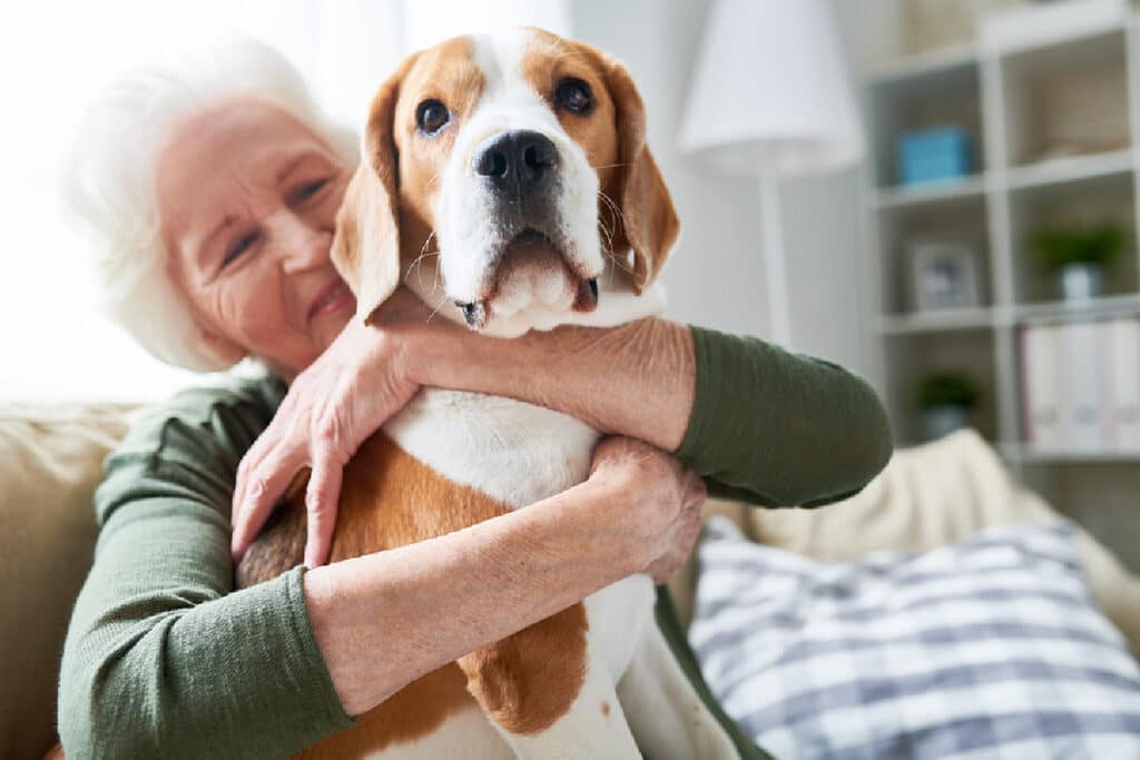 In-Home Care in Avondale AZ: Senior Pets