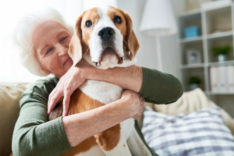 In-Home Care in Avondale AZ: Senior Pets