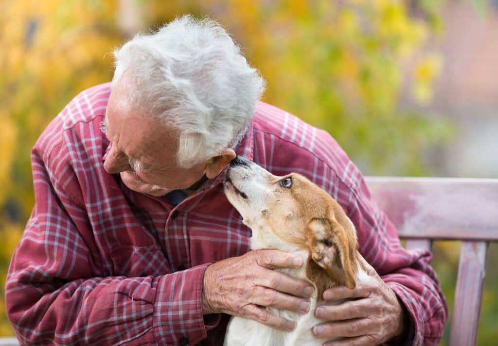 Senior home care can assist aging seniors with daily support including pet care for their physical and cognitive well-being.